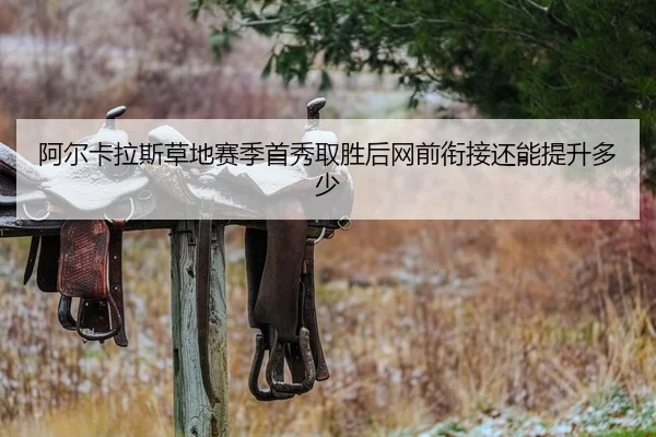 a-er-ka-la-si-cao-di-sai-ji-shou-xiu-qu-sheng-hou-wang-qian-xian-jie-hai-neng-ti-sheng-duo-shao-2-133.jpg