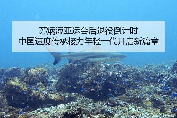 苏炳添亚运会后退役倒计时 中国速度传承接力年轻一代开启新篇章