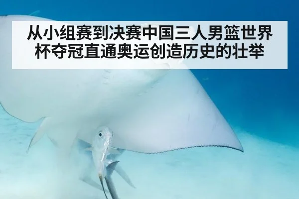从小组赛到决赛中国三人男篮世界杯夺冠直通奥运创造历史的壮举