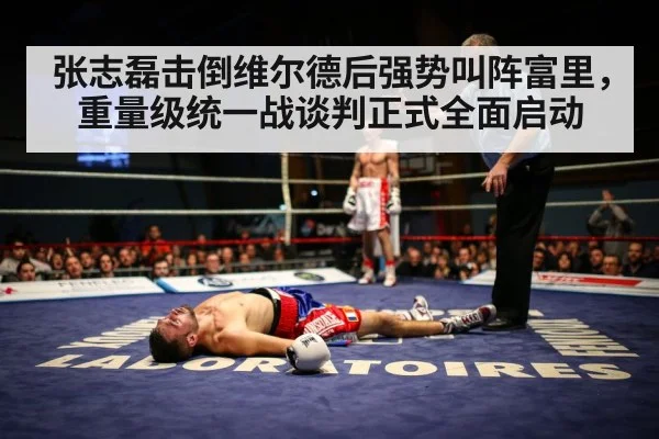 张志磊击倒维尔德后强势叫阵富里，重量级统一战谈判正式全面启动